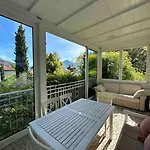 Laurelia Merano