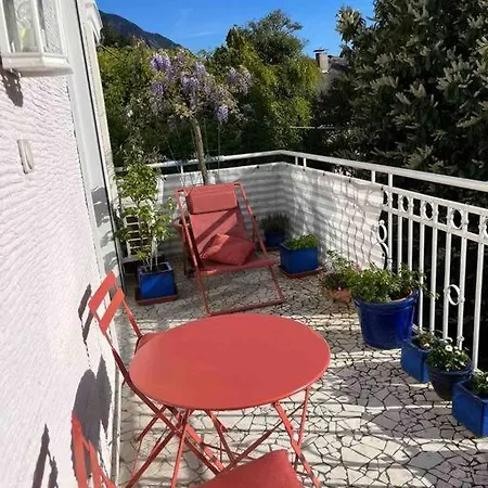 Laurelia Merano
