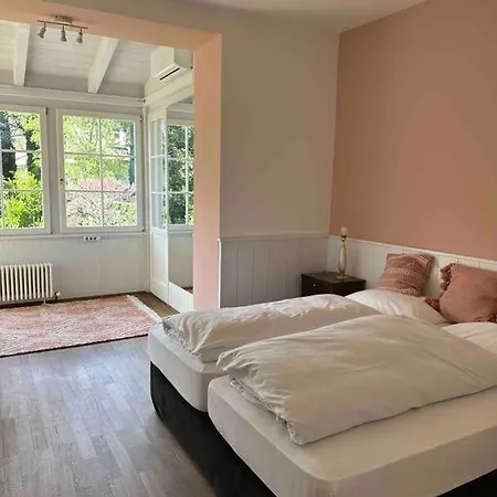 Laurelia * Merano