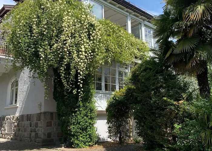 Laurelia Appartement